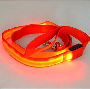 Nylon LED Light Up Dog Leash