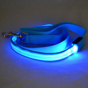 Nylon LED Light Up Dog Leash