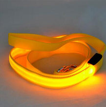 Load image into Gallery viewer, Nylon LED Light Up Dog Leash