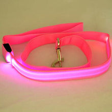 Load image into Gallery viewer, Nylon LED Light Up Dog Leash